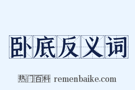 卧底反义词是什么意思的图片